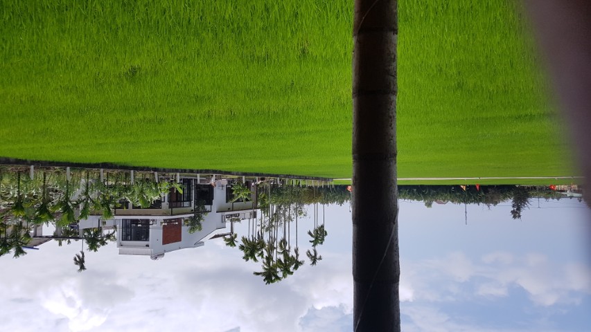 Nature vietnam 